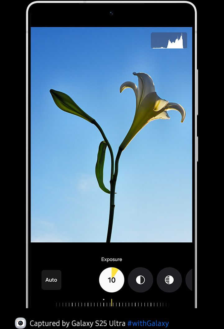 A flower is being edited using Expert RAW. Various editing options are available including exposure.