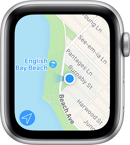 apple watch display face