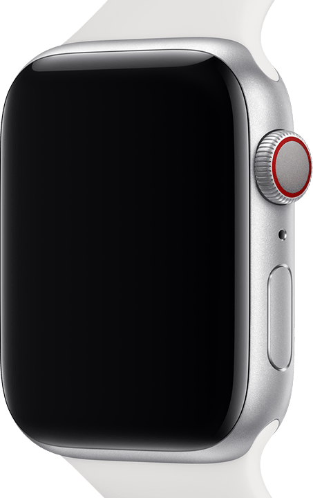 apple watch display face